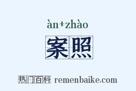 案照是什么意思的图片